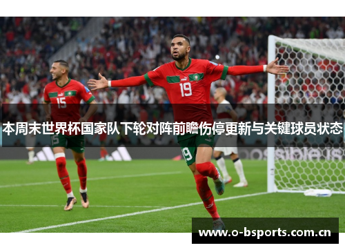 本周末世界杯国家队下轮对阵前瞻伤停更新与关键球员状态